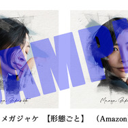 坂本真綾 11th Album「記憶の図書館」メガジャケ（Amazon）