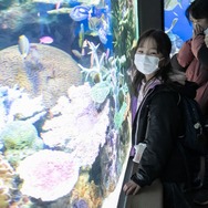 こどもワークショップ アニメ水族館