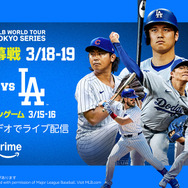 『MLB レギュラーシーズン』