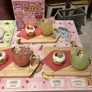 テーマカフェ「チェゴシムのいっぱいたべたべ CAFE」取材の様子