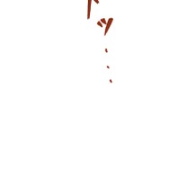 『ラスボス少女アカリ～ワタシより強いやつに会いに現代に行く～』第3話（試し読み）