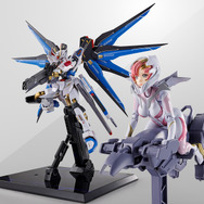 ディスプレイイメージ