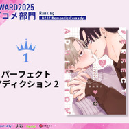 ラブコメ部門1位『パーフェクトアディクション 2』美山薫子