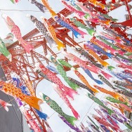 333匹の鯉のぼりが泳ぐ様子