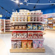 「ディズニーストア 岡山イオンモール店」