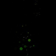 「伝説の暗殺者、転生したら王家の愛され末娘になってしまいまして。」第3話　試し読み