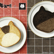 アニメ『ハイキュー‼』が「ねこねこ食パン」とコラボ（C）古舘春一／集英社・「ハイキュー!!」製作委員会