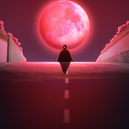 『忍者と極道』PV第1弾