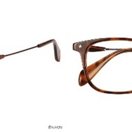 中野五月モデル