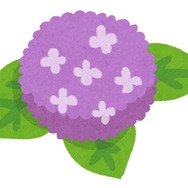 「“紫”がイメージカラーのキャラといえば？」