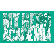 緑谷出久大判ポストカード（C）堀越耕平／集英社