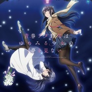 『青春ブタ野郎はゆめみる少女の夢を見ない』