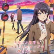 『青春ブタ野郎はランドセルガールの夢を見ない』