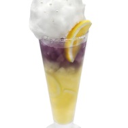 ニャアンのソルティグレフル