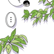 『あざといちゃんとヤンキーくん』第3話