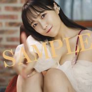 AKIHABARAゲーマーズ本店限定ブロマイド