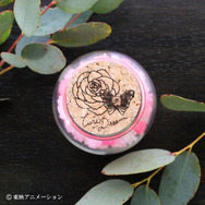 「Yes！プリキュア5GoGo！ 金平糖 キュアドリーム」（C）東映アニメーション