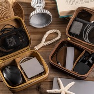 ガジェットケース ゴーイング・メリー号、サウザンド・サニー号