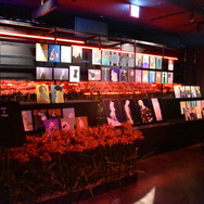 「BLEACH THE LOCUS OF BRAVE Ⅱ」（C）TITE KUBO/SHUEISHA（C）久保帯人／集英社・テレビ東京・ｄｅｎｔｓｕ・ぴえろ