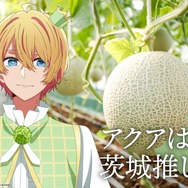 「日本全国project【47都道府県の子】」茨城県ビジュアル