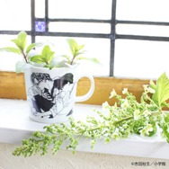 美濃焼スープカップ