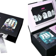 2個セット No.7 Nana & No.8 Hachi