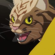 夏アニメ『ニャイト・オブ・ザ・リビングキャット』第1話（Chapter1）「すべてが猫になる」先行場面カット