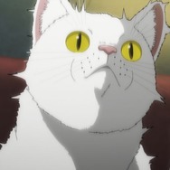 夏アニメ『ニャイト・オブ・ザ・リビングキャット』第1話（Chapter1）「すべてが猫になる」先行場面カット