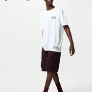 ポケモンカードゲーム「メガサーナイトex」