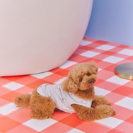 【ドラえもん】【CAT&DOG】総柄プルオーバー