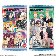 WIND BREAKER ウエハース2