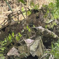 映画『ペリリュー －楽園のゲルニカ－』ペリリュー島、零式艦上戦闘機五二型 跡 写真