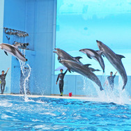 夏はシーパラでわくわくがいっぱい！！TVアニメ『SPY×FAMILY』夏休みイベントin横浜・八景島シーパラダイス