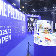 ONE PIECE BASE SHOP展示-Exhibit