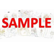 (C) SUNRISE/PROJECT G-AKITOCharacter Design (C)2006-2011 CLAMP・ST