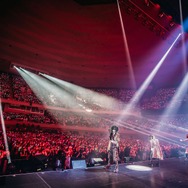 「騎士X - Knight X - 1st ONE MAN LIVE 2025 in 日本武道館」ライブ写真
