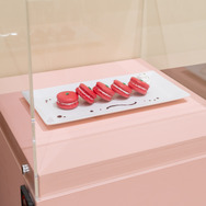 TVアニメ『SPY×FAMILY』特別企画展（C）遠藤達哉／集英社・SPY×FAMILY製作委員会