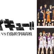 『ハイキュー!! 烏野高校 ＶＳ 白鳥沢学園高校』（第3期・全10話）