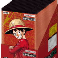 「ONE PIECEカードゲーム ブースターパック　受け継がれる意思【OP-13】」（C）尾田栄一郎／集英社(C)尾田栄一郎／集英社・フジテレビ・東映アニメーション