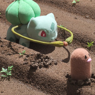 畑に種を植えるフシギダネ、ディグダ