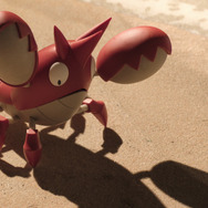 ビーチ沿いのヘイガニ