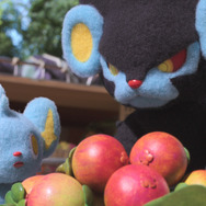 きのみが気になるコリンク、レントラー