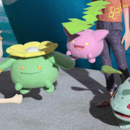 お客様を出迎えるポポッコ、ハネッコ、フシギダネ