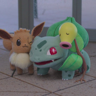 3匹でぎゅっと寄り添うイーブイ、フシギダネ、マダツボミ