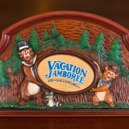 ミセスとコラボのベイマックスやきらびやかなパレードにキャッスルショーまで！“夜プラン”で満喫する東京ディズニーランド