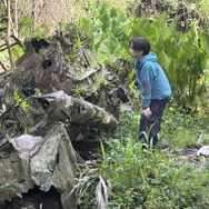 映画『ペリリュー －楽園のゲルニカ－』ペリリュー島、零式艦上戦闘機五二型 跡 写真