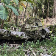 映画『ペリリュー －楽園のゲルニカ－』ペリリュー島、零式艦上戦闘機五二型 跡 写真