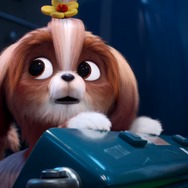 『ペット2』デイジー(声:伊藤沙莉)