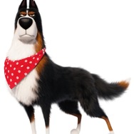 『ペット2』ルースター(声:内藤剛志)