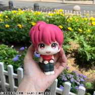 るかっぷ TVアニメ「らんま1/2」 らんま＆シャンプ― セット【限定座布団付き】